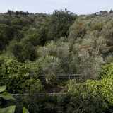 Notiamo delle scalette che scendono lungo uno degli argini e persino una passerella che percorre un tratto del �fiume�, ma entrambi sono irraggiungibili per via degli arbusti che bloccano qualsiasi accesso